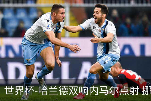 世界杯-哈兰德双响内马尔点射 挪威2-1淘汰巴西进8强