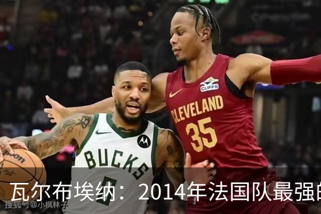 瓦尔布埃纳：2014年法国队最强的是博格巴，最被低估的是马图伊迪